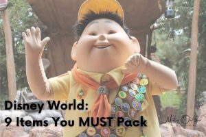 featured image, disney character Russel from up