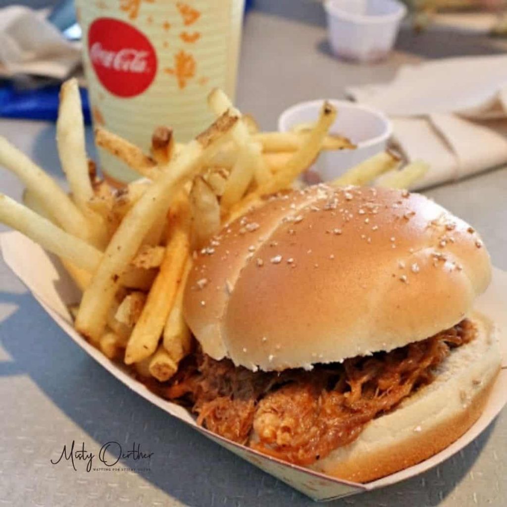 Chicken sandwich and fries at Cosmic Ray's